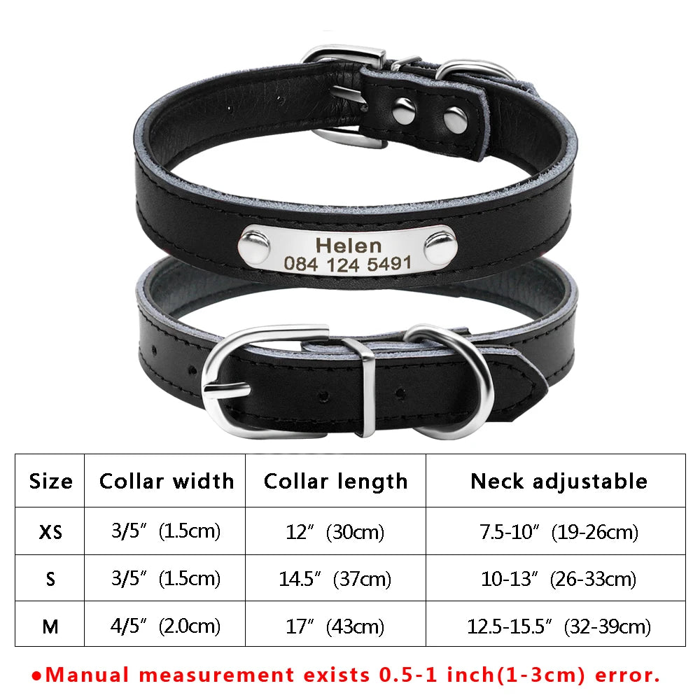 Custom Leather Pet Collar – Engraved Rhinestone Dog Collar