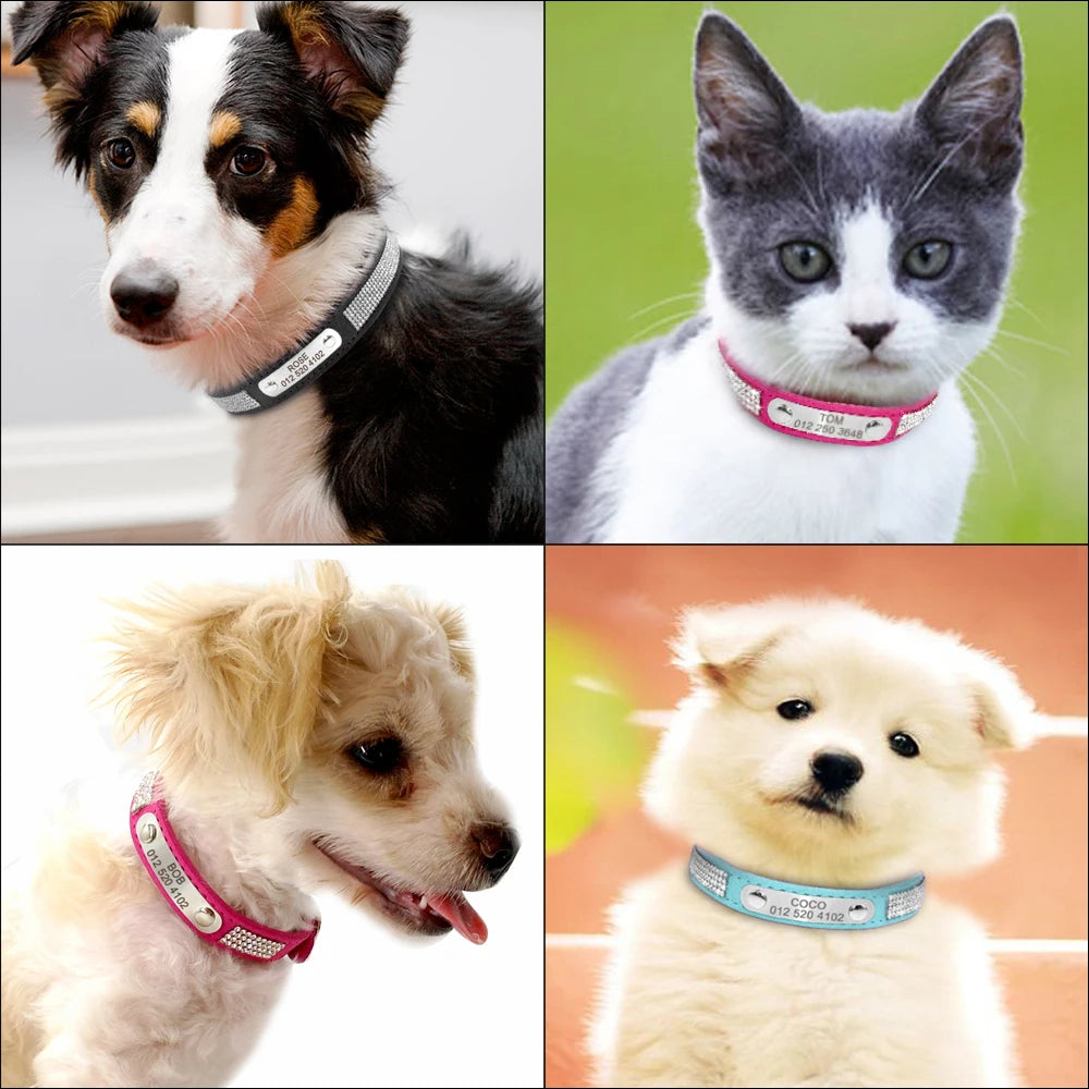 Custom Leather Pet Collar – Engraved Rhinestone Dog Collar