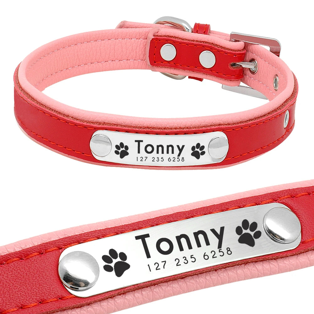 Custom Leather Pet Collar – Engraved Rhinestone Dog Collar