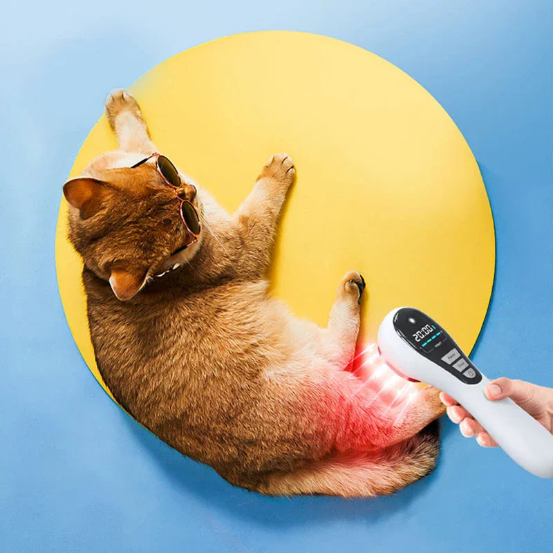 Red Light Therapy Device – Cold Laser Pain Relief & Health Care