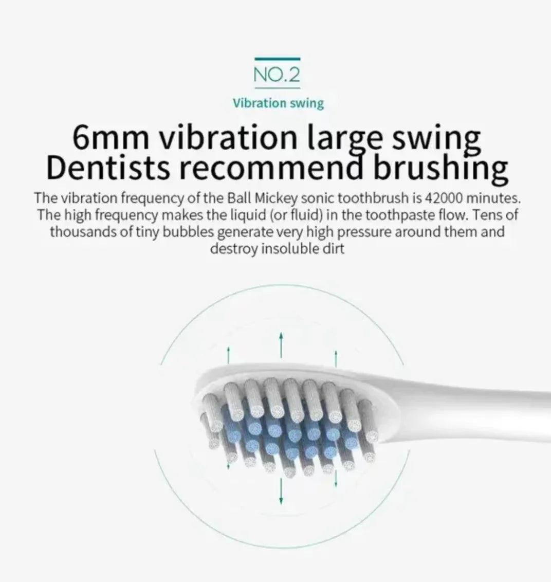 Sonic Electric Toothbrush for Adults | 3 DuPont Heads, USB Rechargeable, IPX7 Waterproof
