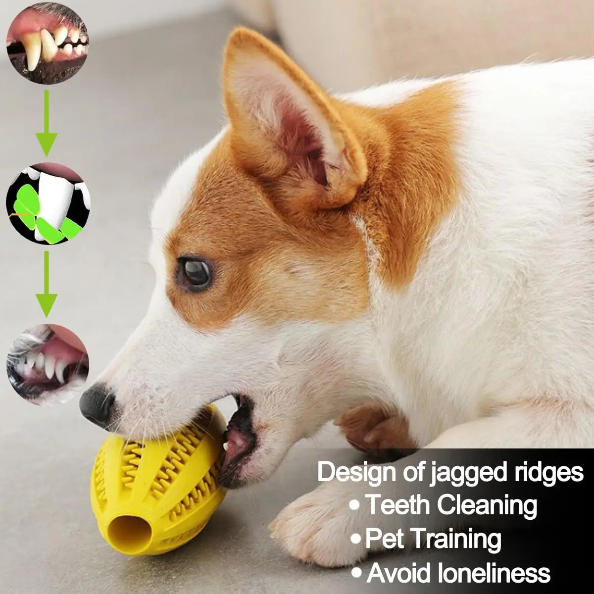 Dog Chew Toy Ball – Tough Rubber Teeth Cleaning Snack Ball