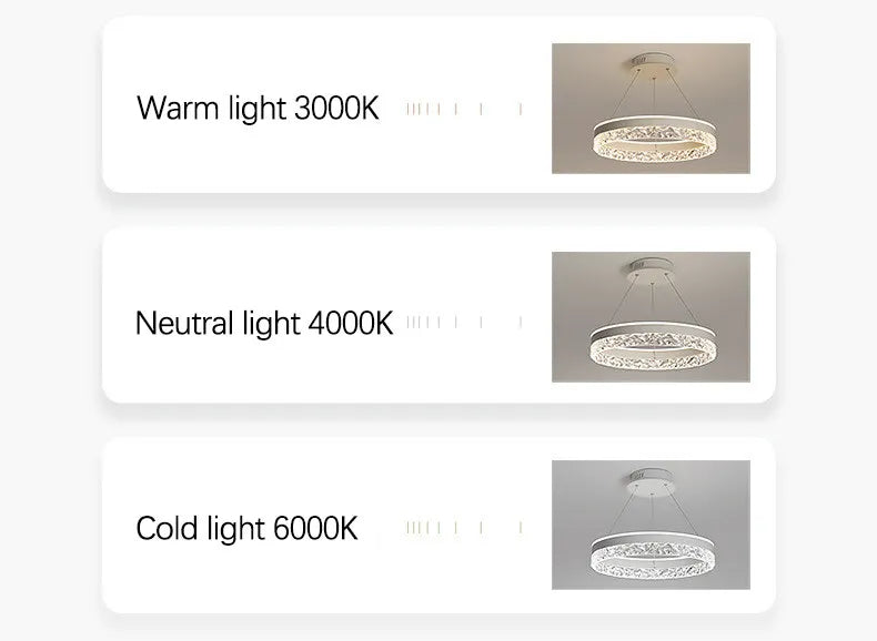 Cartmela Luxe Ring LED Ceiling Light