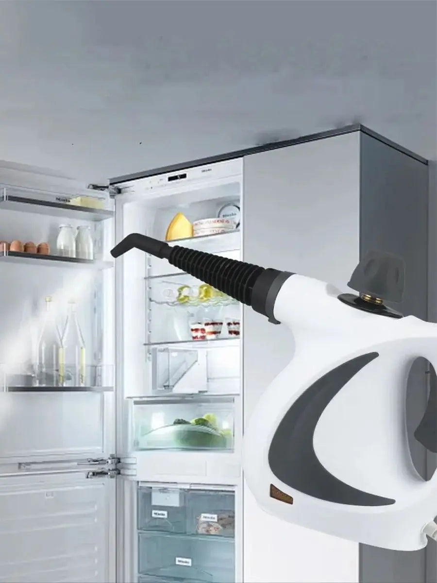 Pressurized Handheld Steam Cleaner