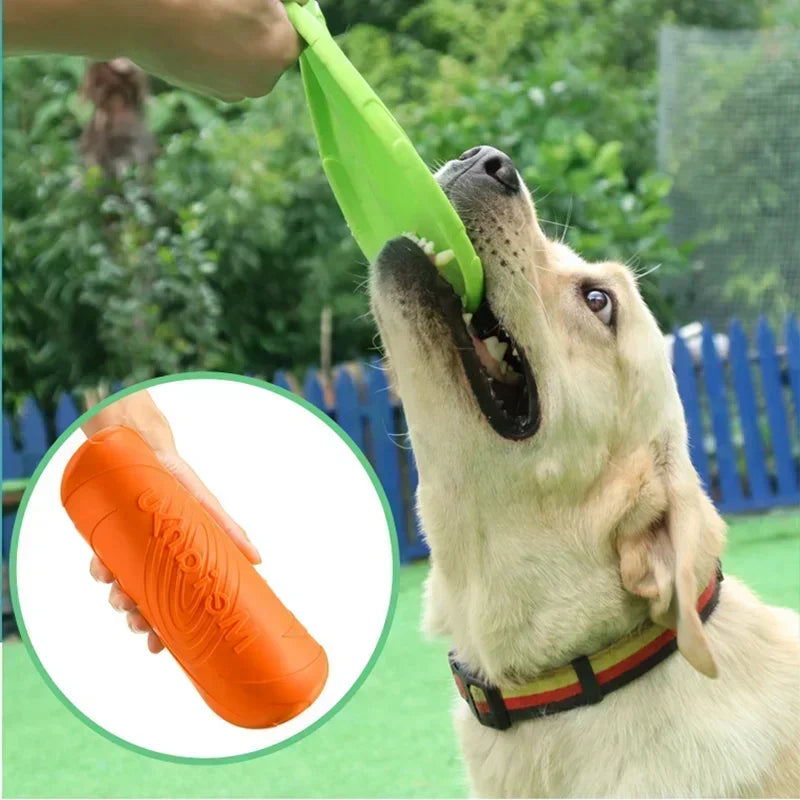 Multicolor Dog Frisbee Toy – Silicone Flying Disc for Fun & Training