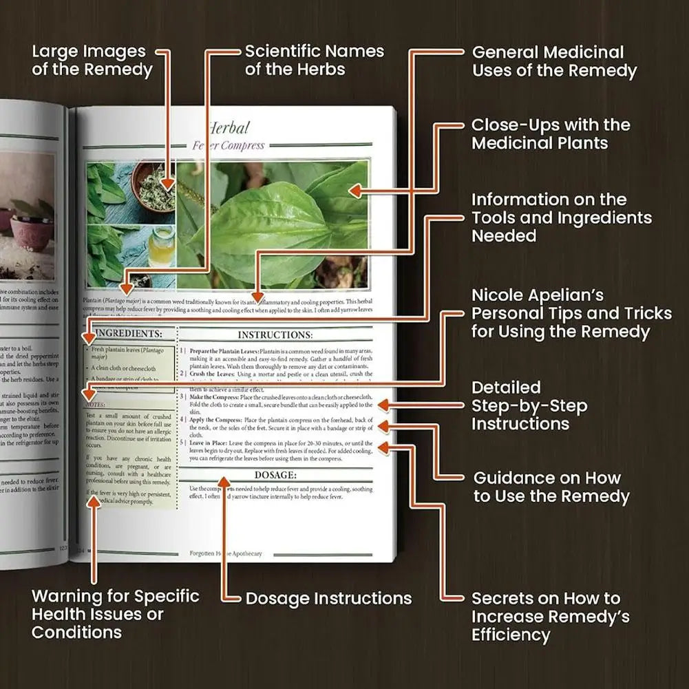 Forgotten Home Apothecary Book – 250 Natural Remedies Guide