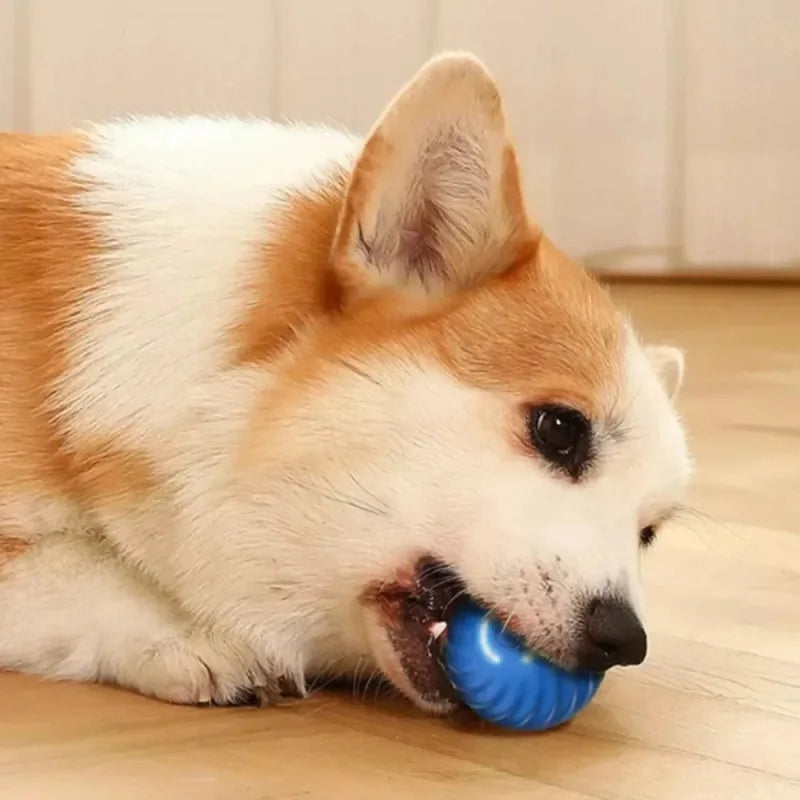 Automatic Moving Bouncing Dog Toy Ball – USB Rechargeable Interactive