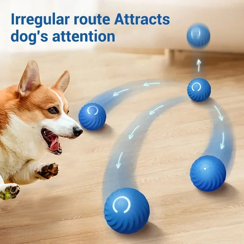 Automatic Moving Bouncing Dog Toy Ball – USB Rechargeable Interactive