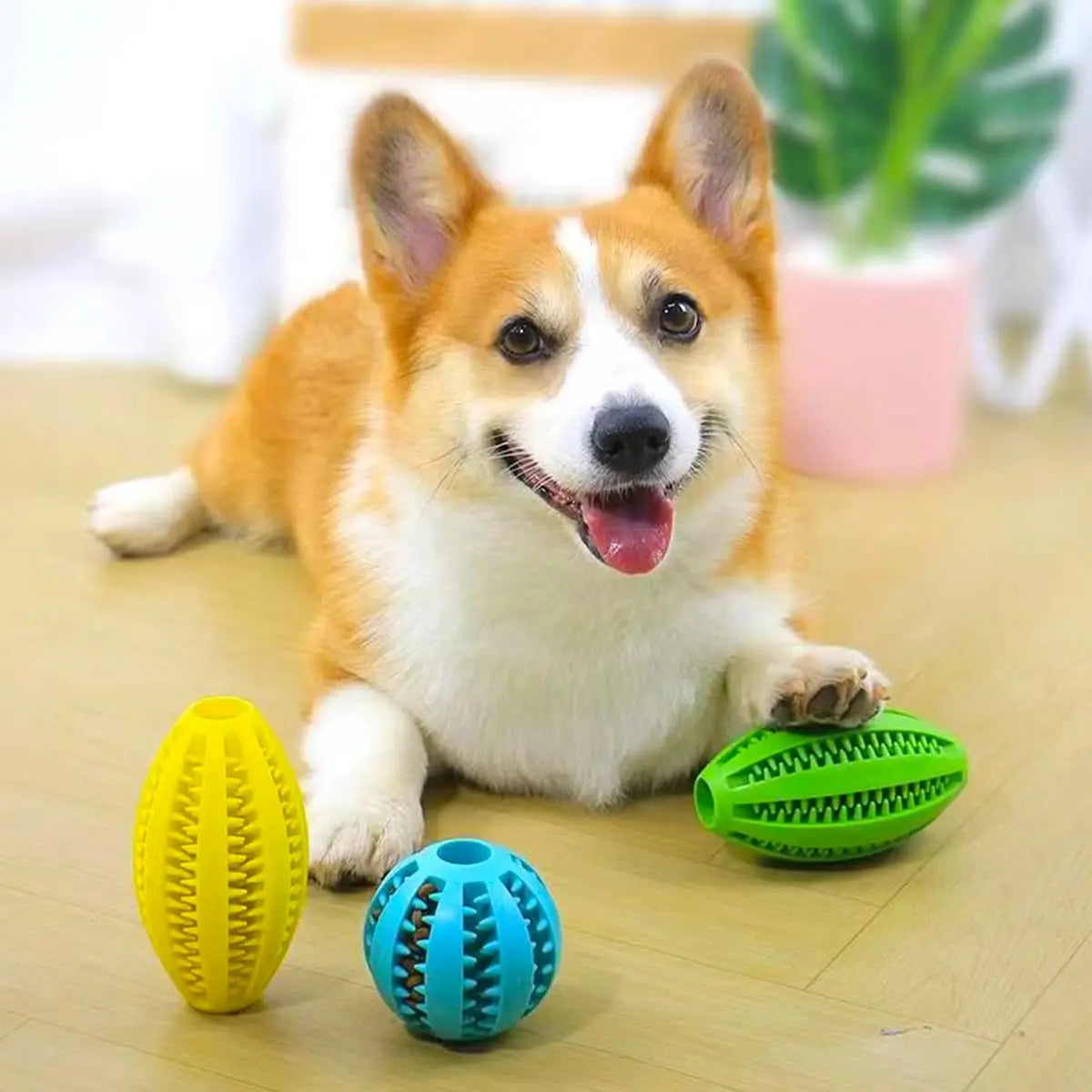 Dog Chew Toy Ball – Tough Rubber Teeth Cleaning Snack Ball