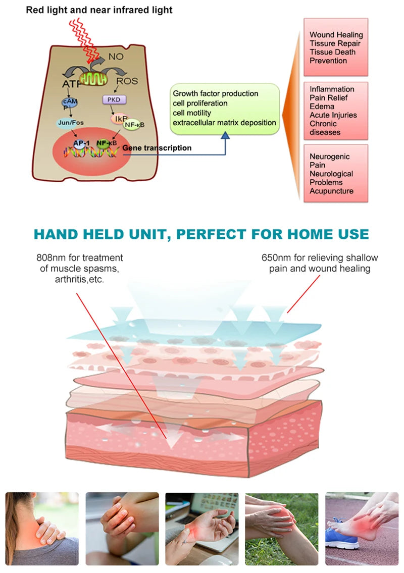 Red Light Therapy Device – Cold Laser Pain Relief & Health Care