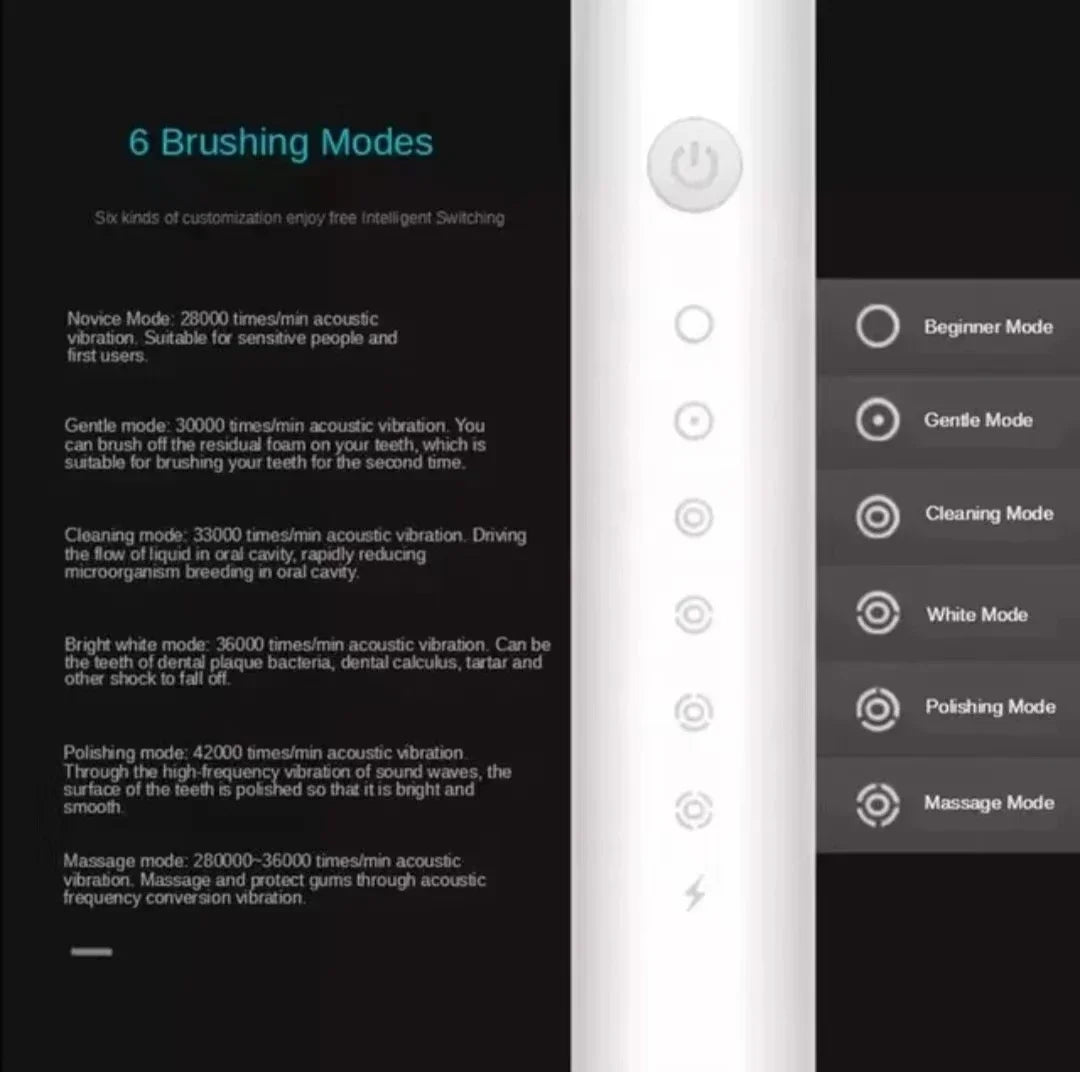 Sonic Electric Toothbrush for Adults | 3 DuPont Heads, USB Rechargeable, IPX7 Waterproof