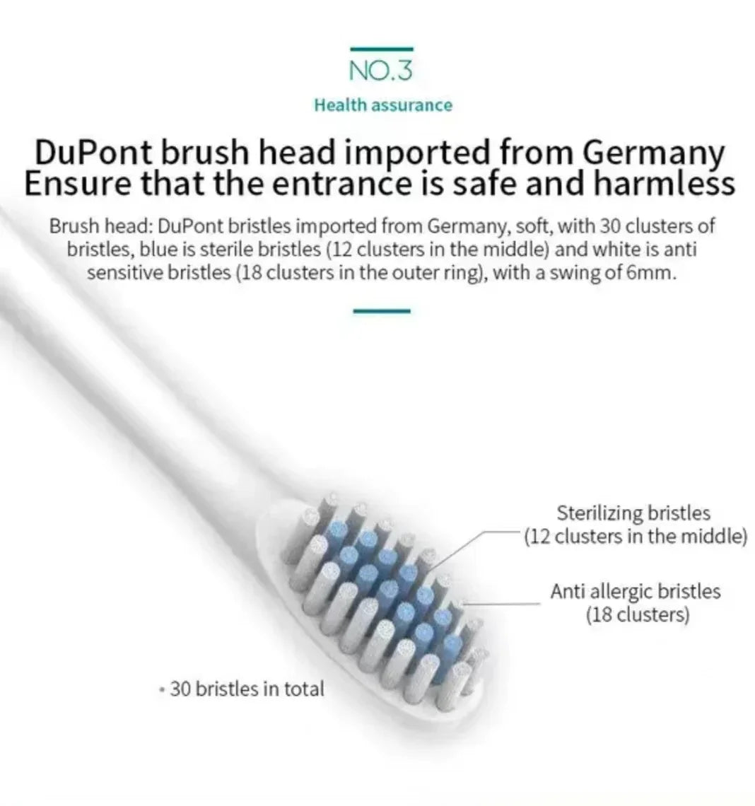 Sonic Electric Toothbrush for Adults | 3 DuPont Heads, USB Rechargeable, IPX7 Waterproof
