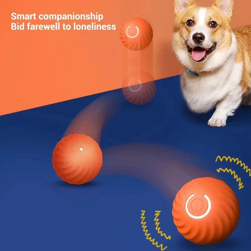 Automatic Moving Bouncing Dog Toy Ball – USB Rechargeable Interactive