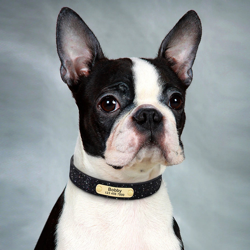 Custom Leather Pet Collar – Engraved Rhinestone Dog Collar