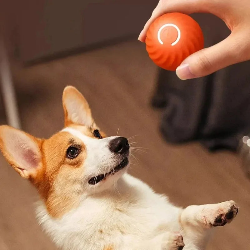 Automatic Moving Bouncing Dog Toy Ball – USB Rechargeable Interactive