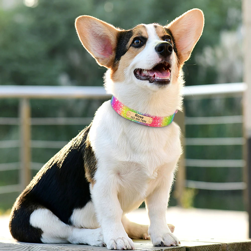 Custom Leather Pet Collar – Engraved Rhinestone Dog Collar