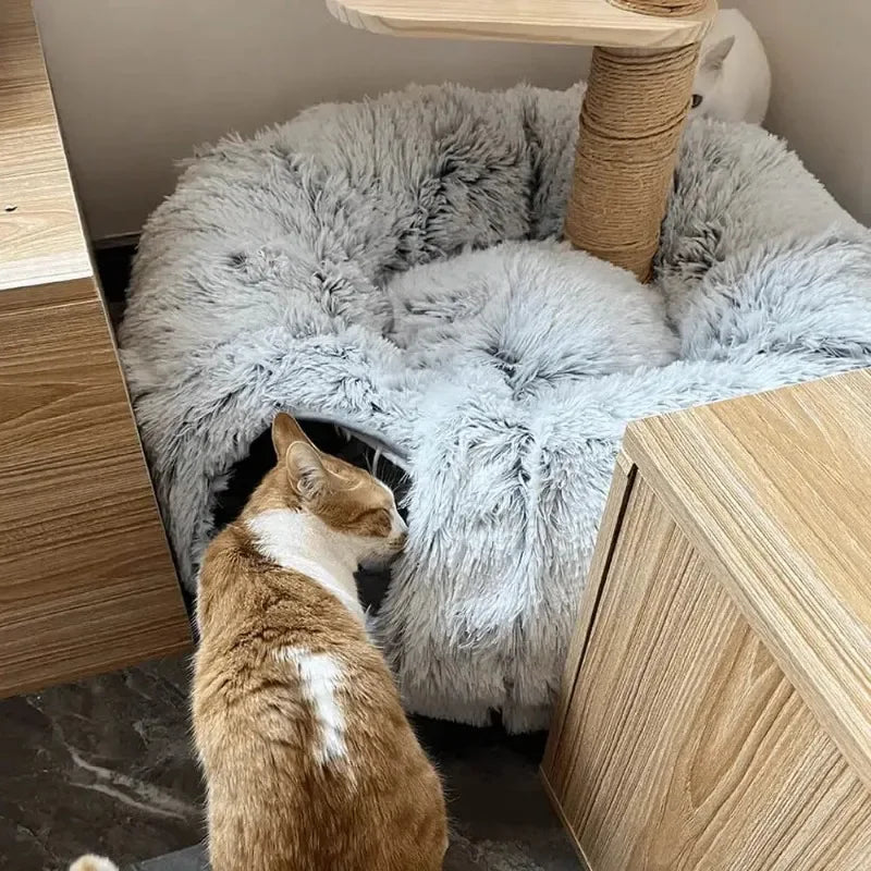 Cat peacefully sleeping in plush tunnel bed with donut design