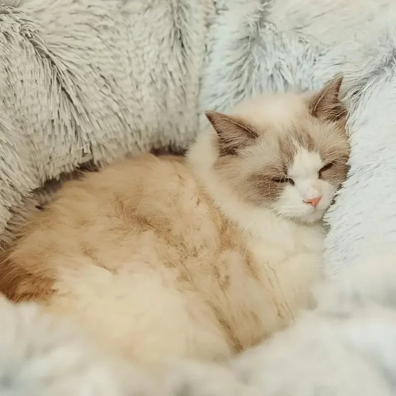 Foldable plush donut cat tunnel bed for cats, rabbits, and small pets
