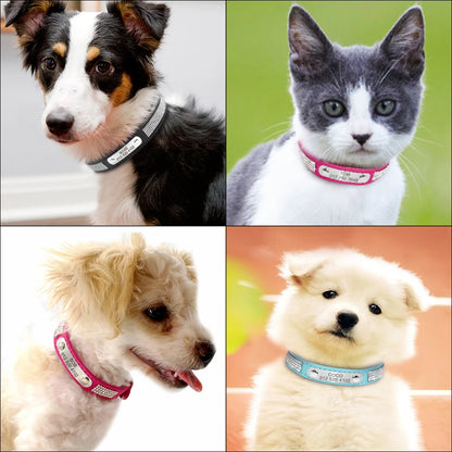 Custom Leather Pet Collar – Engraved Rhinestone Dog Collar