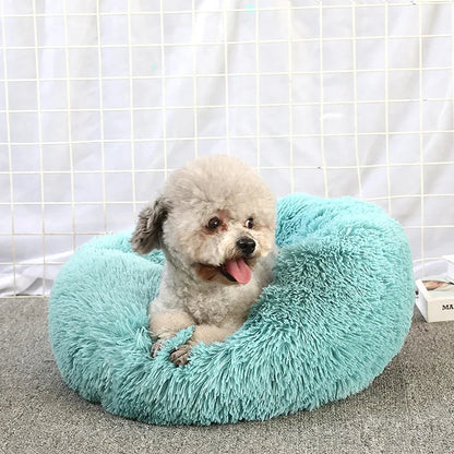 Round Cat Bed House - Soft Plush Cushion Bed for Dogs & Cats, Pet Sleeping Sofa