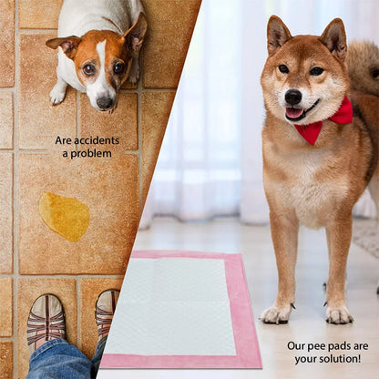 50pcs Disposable Pet Pee Pads – Puppy Training Diapers 60x90cm