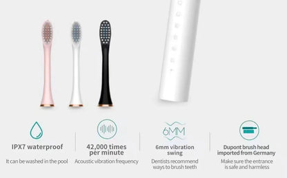 Sonic Electric Toothbrush for Adults | 3 DuPont Heads, USB Rechargeable, IPX7 Waterproof