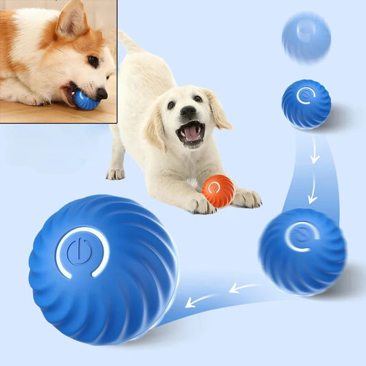 Automatic Moving Bouncing Dog Toy Ball – USB Rechargeable Interactive