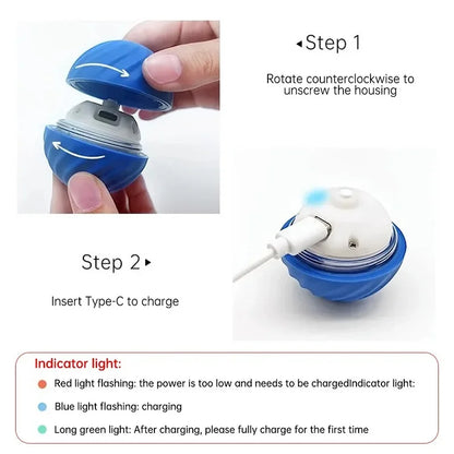 Automatic Moving Bouncing Dog Toy Ball – USB Rechargeable Interactive