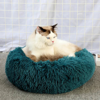 Round Cat Bed House - Soft Plush Cushion Bed for Dogs & Cats, Pet Sleeping Sofa