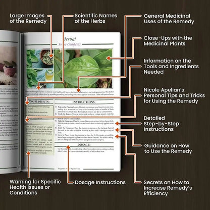 Forgotten Home Apothecary Book – 250 Natural Remedies Guide