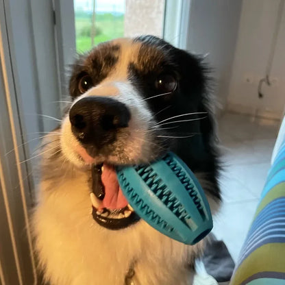 Dog Chew Toy Ball – Tough Rubber Teeth Cleaning Snack Ball