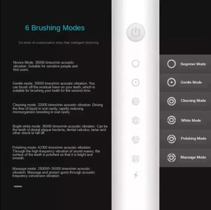 Sonic Electric Toothbrush for Adults | 3 DuPont Heads, USB Rechargeable, IPX7 Waterproof