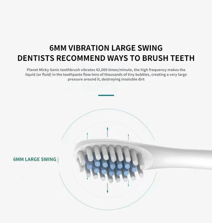 Sonic Electric Toothbrush for Adults | 3 DuPont Heads, USB Rechargeable, IPX7 Waterproof