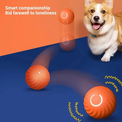Automatic Moving Bouncing Dog Toy Ball – USB Rechargeable Interactive