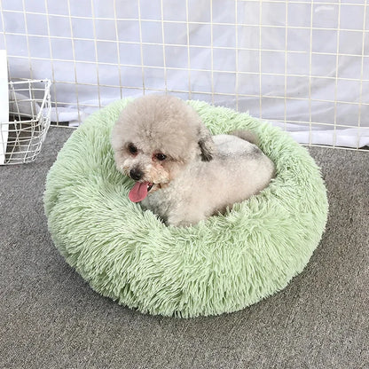 Round Cat Bed House - Soft Plush Cushion Bed for Dogs & Cats, Pet Sleeping Sofa
