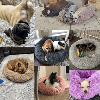 Round Cat Bed House - Soft Plush Cushion Bed for Dogs & Cats, Pet Sleeping Sofa