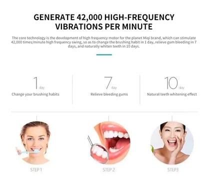 Sonic Electric Toothbrush for Adults | 3 DuPont Heads, USB Rechargeable, IPX7 Waterproof