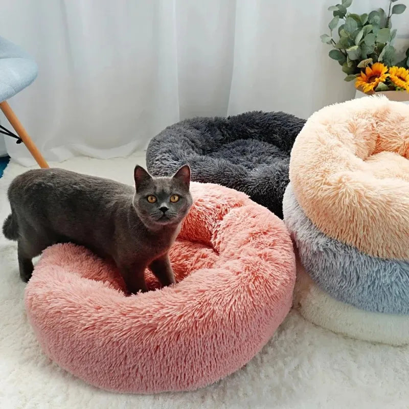 Round Cat Bed House - Soft Plush Cushion Bed for Dogs & Cats, Pet Sleeping Sofa
