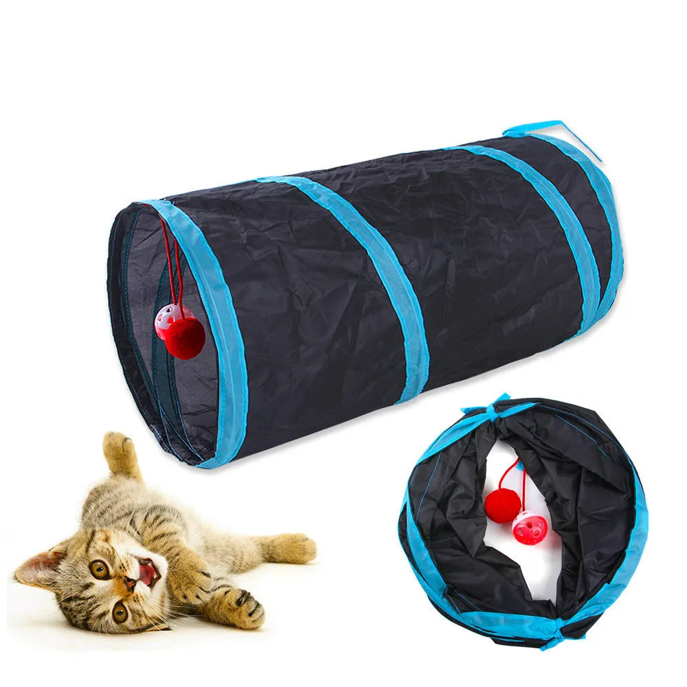 Cat playing inside S-shaped tunnel
